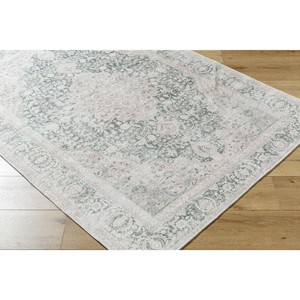 Hauteloom Yanis Living Room, Bedroom Machine Washable Area Rug - Traditional - 1 of 4
