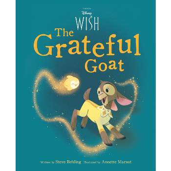Wish Picture Book - by  Steve Behling (Hardcover)