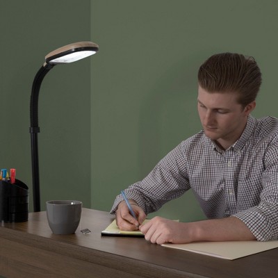 Arcadian 20'' Adjustable Arc Floor Lamp in Light Wood Grain