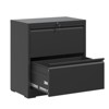 2 Drawer Lateral File Cabinet with Lock, Metal Lateral Filing Cabinet for Home Office,Filing Cabinets for Letter/Legal/A4/F4 Hanging Files (Black) - 3 of 4