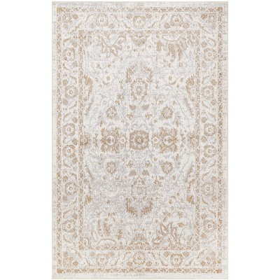 Nourison Astra Machine Washable Vintage Bordered Indoor Rug