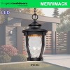 Minka Lavery Vintage Outdoor Hanging Light Fixture Black LED Damp Rated 17 1/2" Clear Hammered Glass for Post Exterior Porch Patio - 3 of 3
