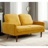 56" Velvet European Style 2-Seater Loveseat Sofa for Living Room, Apartment or Office with Sleek Design, Modern Vintage Flair - 3 of 4