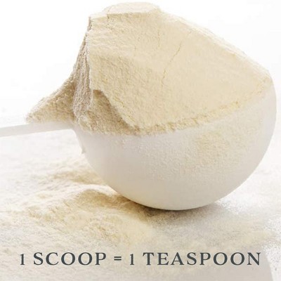 Cornucopia Brands Bulk Pack of Teaspoon Measuring Spoons, 24pk; 5 ml / 5 cc Scoops Which Fit Inside a Spice Bottle