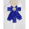 Elerevyo Women's Ribbon Brooch Bowknot Neck Bow Ties - 4 of 4