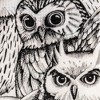 Simply Genius Pattern Duct Tape Heavy Duty, Craft Supplies for Adults, Single Roll 1.8 in x 10 yards, Colorful Tape for DIY (Noir Owl) - 4 of 4