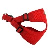 Doggie Design Wrap and Snap Choke Free Dog Harness - Flame Red - 4 of 4