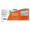 American Ginseng 500mg 5% Ginsenosides by Now Foods  -  100 Capsule - 2 of 2