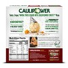 CAULIPOWER Margherita Stone-Fired Cauliflower Crust Frozen Pizza - 11.85oz - image 2 of 3