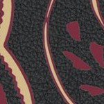 florida state seminoles athletic wordmark