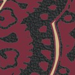 florida state seminoles athletic wordmark