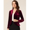 INSPIRE CHIC Women's Notched Lapel Long Sleeve Office Button Velvet Suit Blazer - 2 of 4