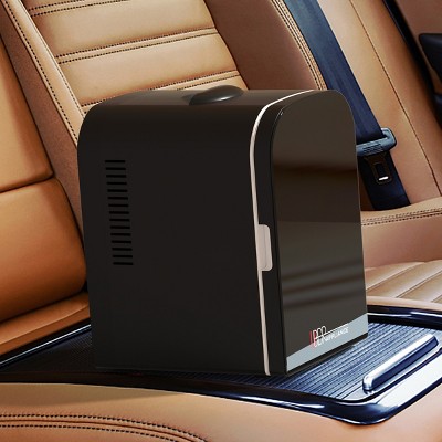Compact Black Thermoelectric Mini Fridge for RV