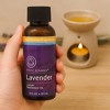 Di'Aroma Lavender Fragrance Oil 8 oz – Premium Aromatherapy Scent for Diffuser, Oil Burner & Potpourri, Calming Lavender Essential Oil - 3 of 3