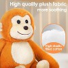 iPlay, iLearn Baby Monkey Stuffed Animal - 3 of 3