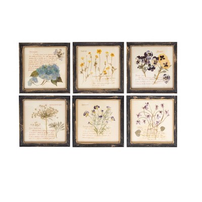 Beautiful Wood & Glass Framed Pressed Flower Wall Art Decor Artist Designed  9x9