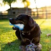 Allforpaws Chill Out - Dog Toy - Bite Resistance Dog Cooling Chew Toy for Summer, Ice Bone, L - 2 of 4