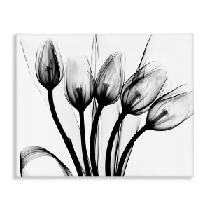Stupell Industries Modern Tulip Blossom Abstract Monochrome Silhouette Photography, 30" x 40" - 1 of 4