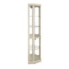 Lyngins American Design Glass Display Cabinet with 2 Side-Hung Doors, Lighted Corner Curio Cabinet with Adjustable Shelves, Accent Storage Cabinet - 4 of 4