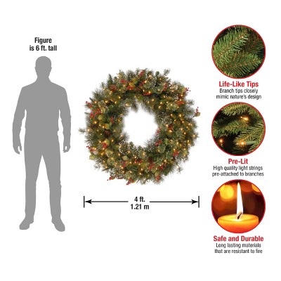 48" Prelit Wintry Pine Artificial Christmas Wreath with Pine Cones and Berries