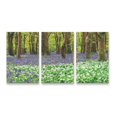 Trademark Fine Art Michael Blanchette Photography Bluebells and Garlic 3 Piece Panel Set Art
