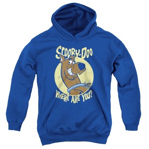 Boys’ Scooby Doo Where Are You Hooded Sweatshirt - 1 of 4
