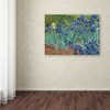 Vincent van Gogh 'Irises, 1889' Matted Framed Art - 3 of 4