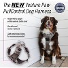 Venture Paw Pull Control Dog Harness - Dried Sage - 3 of 4
