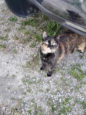 Guest review image 2 of 3, zoom in