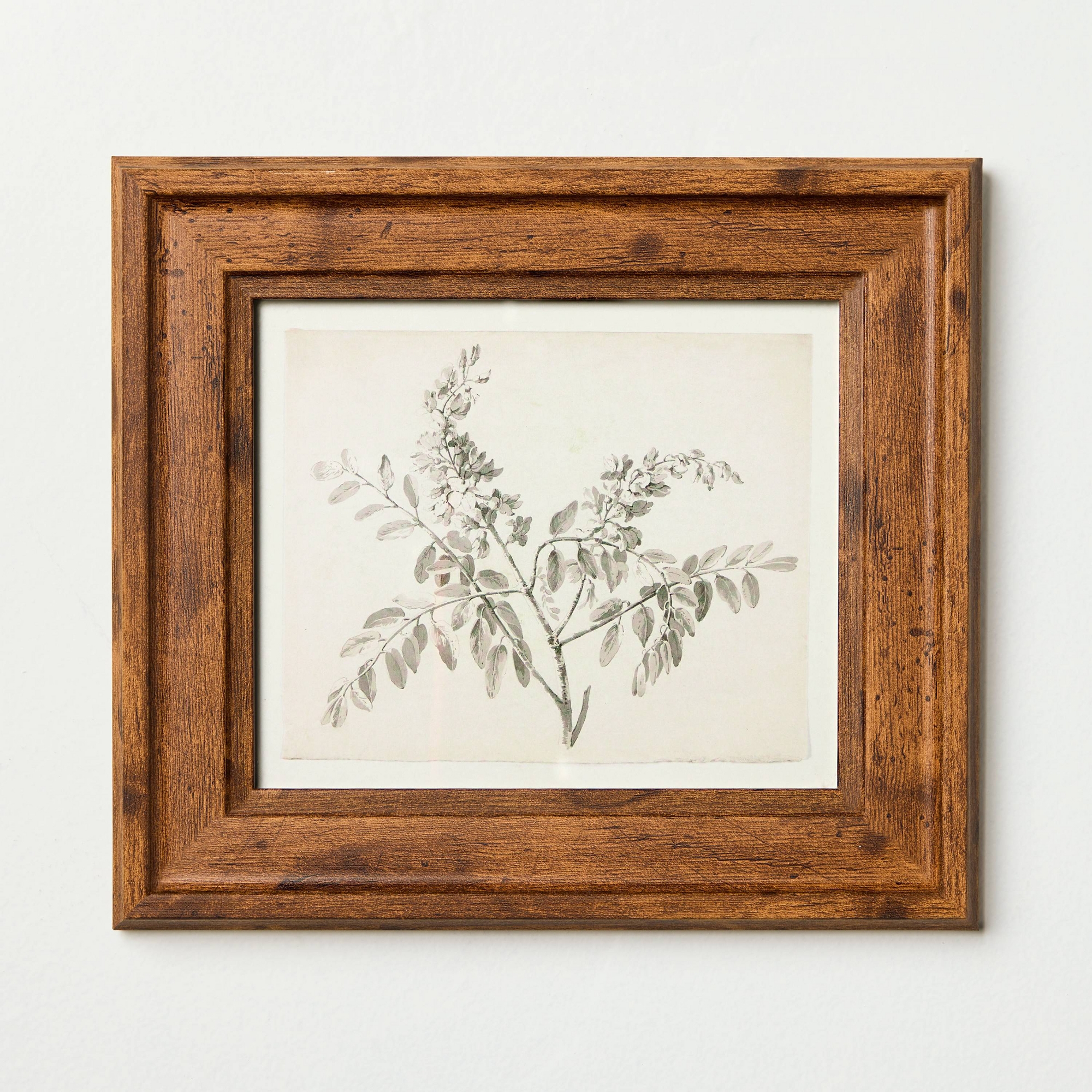 8"x9" Sketched Branches Wall Art Framed - Hearth & Hand™ with Magnolia