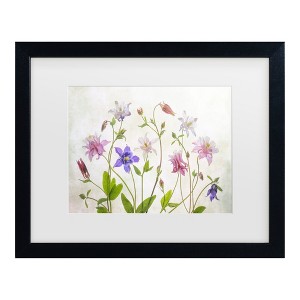 Trademark Fine Art - Mandy Disher Columbine Matted Framed Art - 1 of 4