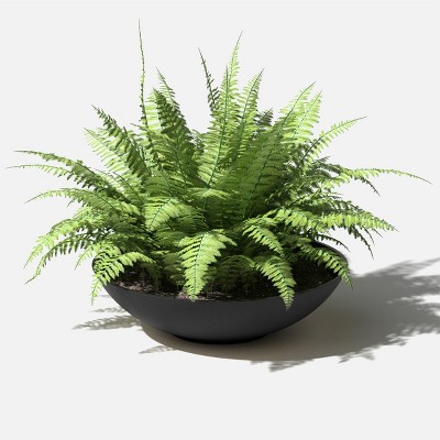 Black 24" Plastic-Stone Round Planter Bowl