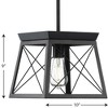 Progress Lighting Briarwood 1-Light Mini-Pendant, Steel, Textured Black, Faux-Painted Wood Enclosure - 4 of 4