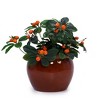 ORRD Set of 3 Orange Ceramic Planters, Modern Indoor Outdoor Flower Pots with Drainage Holes for Patio Garden Windowsill Decor - 4 of 4