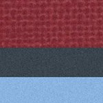colorado rapids