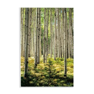 Stupell Industries Small And Tall Birch Forest Wall Plaque Art - 1 of 4