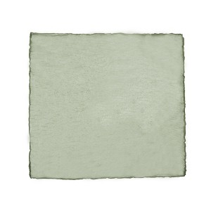 Unique Bargains Washable Polyester Place Mats Green 12 Pcs - 1 of 4