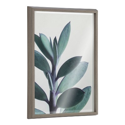18" x 24" Blake Senecio 1 by Emiko and Mark Franzen of F2 Images Framed Printed Glass Gray - Kate & Laurel All Things Decor