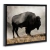 Stupell Industries Powerful Bison Grazing Foggy Rural Pasture Photography Floating Frame Canvas Art, Black, 31" x 25" - 2 of 4