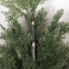 Okak 5/6FT UV-Resistant Artificial Cypress Tree in Plastic Pot, Artificial Plants with Realistic Touch and Look, Faux Tree for Garden or Entryway - 3 of 4