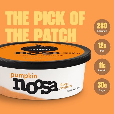 noosa Pumpkin Aussie Style Yogurt - 11g Protein 8oz