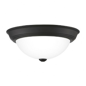 Quoizel Lighting Erwin 2 - Light Flush Mount in  Matte Black - 1 of 4