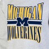 NCAA Michigan Wolverines Unisex Ash Crew Fleece Sweatshirt - 3 of 3