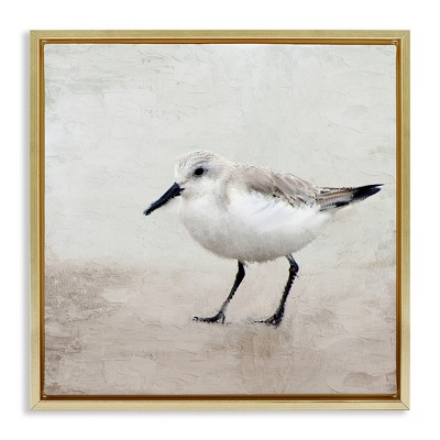 Stupell Industries Lone Sandpiper Bird Portrait, 18" x 18"