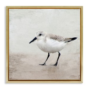 Stupell Industries Lone Sandpiper Bird Portrait, 18" x 18" - 1 of 4