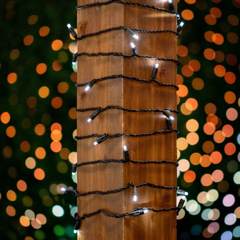 Novelty Lights 50 Light LED Christmas Mini Light Set (Black Wire, 11 Feet), 4 of 8