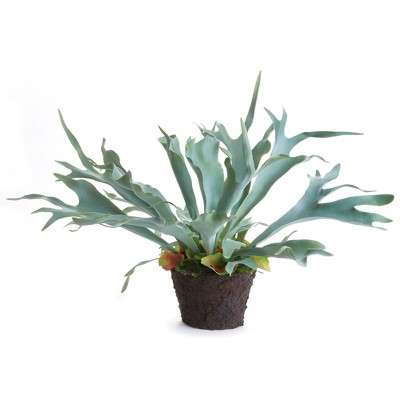 Plum & Post Staghorn Fern Drop-In 21"