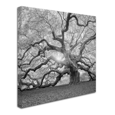 Trademark Fine Art -Moises Levy 'The Tree Square-BW 2' Canvas Art
