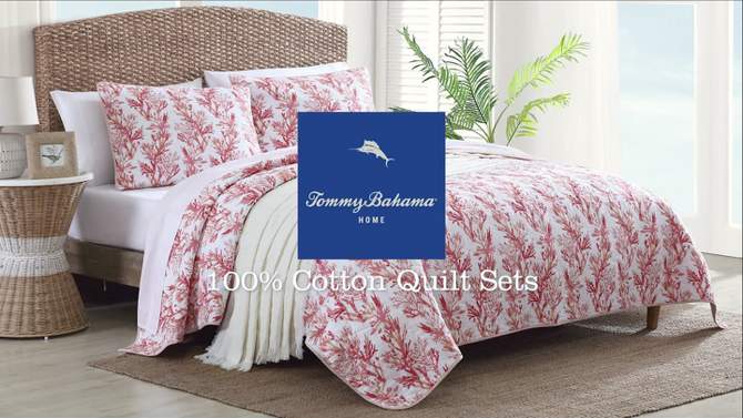 100% Cotton Woven Bed Blanket Beige - Tommy Bahama, 2 of 13, play video
