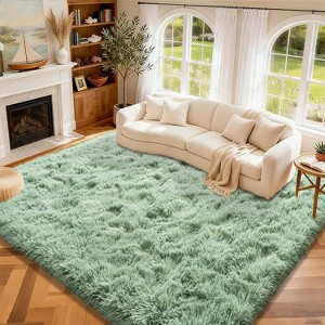 Area Rugs for Living Room Bedroom, Non-Slip Fluffy Soft Shag Carpet for Kids Home Dorm Decor - 1 of 4